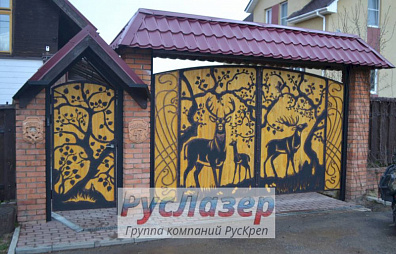 Ворота и калитка с красивым рисунком на заказ